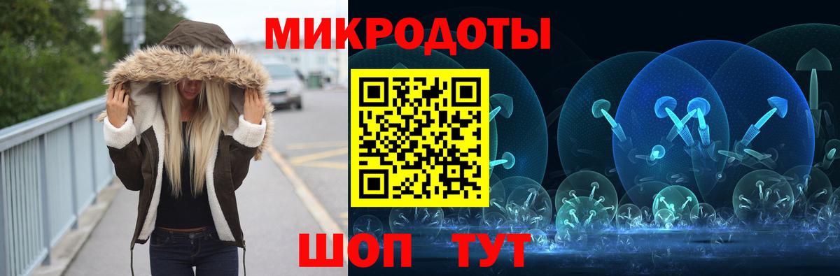 Галлюциногенные грибы Psilocybine cubensis Дятьково